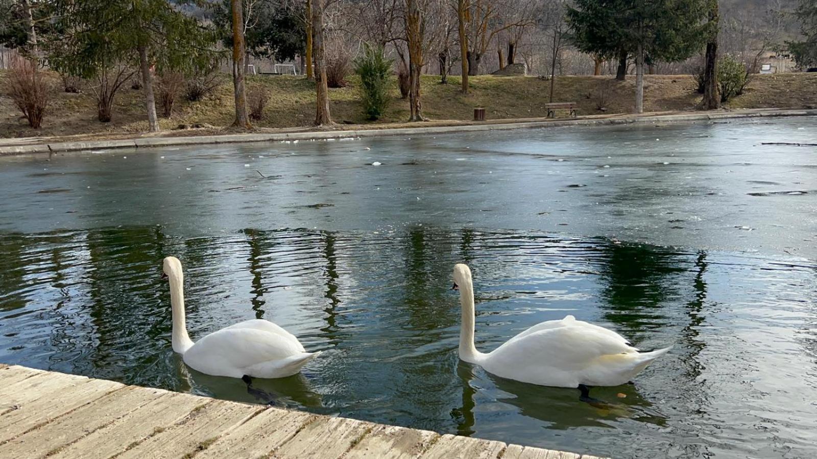 Apartament Del Llac Osseja Luaran gambar